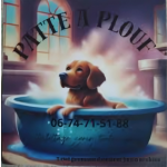 Salon de toilettage Orchies